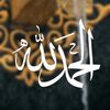 user8781236146662