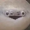 wydgjssb