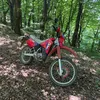 stojic3