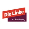 Die Linke im Bundestag
