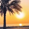 almajidi55
