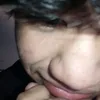rexalanii_