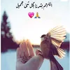 user7319570315847
