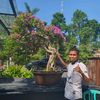 iswan_garden