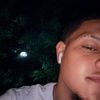 starling_211