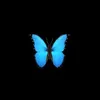 🦋ميران🦋