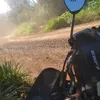 claudecirferreira33