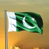 syed07editor