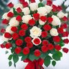 donna24240