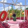syafa.al.faro