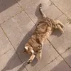 juju.bouf8