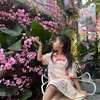 tuongvy12112008