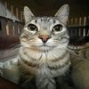 liwxx56