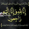 am.usam