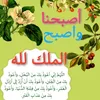 abdelkrim.ougayou