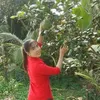 mytienhuynhthi38