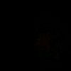 slh_blm_27
