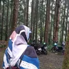 loes.1457