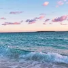 susi_clark