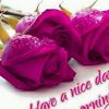 zahrazozo7353