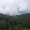 hodaya_184