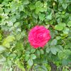 user187811402547