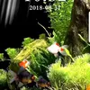 xuanhai.85
