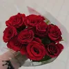 najahabdek790