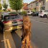 saniam1rza