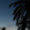 johanna.dsh