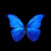 nourhane_diabi23