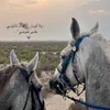 hassnaeid07