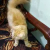 shaymazain918