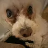 the.phar.macy