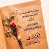 user7283343608008