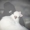 ❀𝑭𝑨𝑻𝑰𝑴𝑨❀