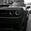 vitor_dx.7