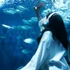blue_bluelover