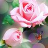 zehra_huseyn2022