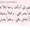 abdelhamed.lashen