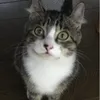 userogg7w7sjad