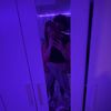 seb_293