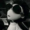 xx_andy7861