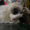 nina__0223