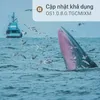 phng81404