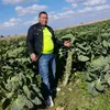 مول صبار