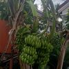 riki.apriansyah56