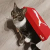thesirinfur