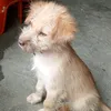 abutikihih
