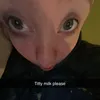 paulamohrm